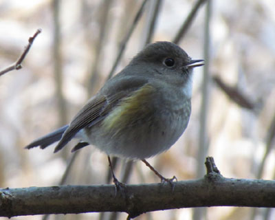 �o�͂������Ǘ��������Ȃ������q