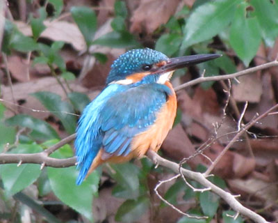 ���̊p�x�͗ǐS�I