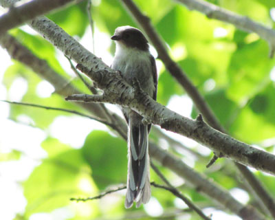 �q�i�͊炪����