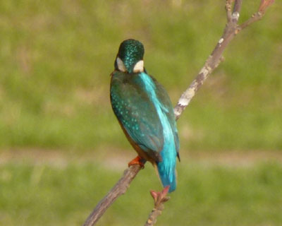 ���^�������낢