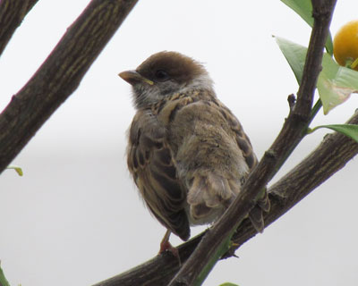 ���x���Ă�