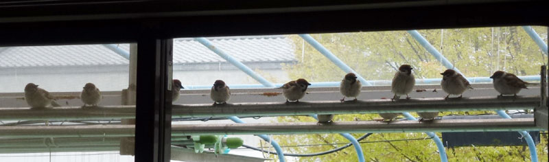 ��Ƃ���Ȉ��͒c�̂ɂȂ�