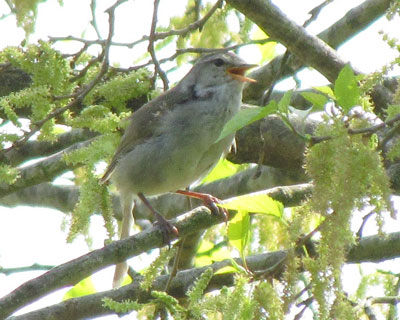 ����̍Œ���