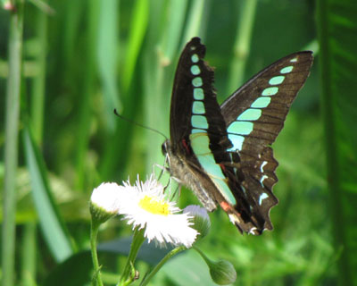 �Z�����A�I�X�W�A�Q�n