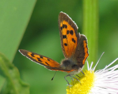 �w�����ѐ[��