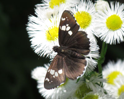 �₽�炽�����񂢂��_�C�~���E�Z�Z��