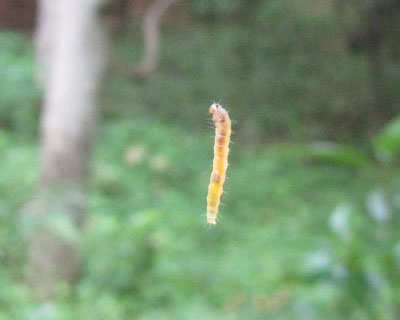 �󒆂ŗh���̂���߂�