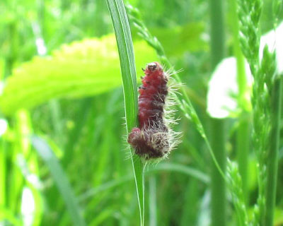 �����n�߂�