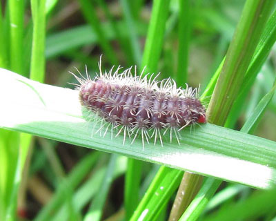 �т�����