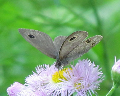 �n��������q���E���i�~�W���m��