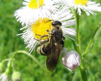 �n�`�̖��O���߂����ɂ킩��Ȃ�