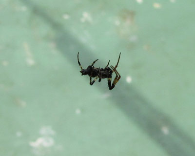 �x�����_�ɕ����Ă��N��