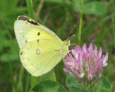 �������������L�`���E