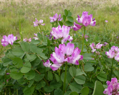 �x�k�c�ɐ����Ă������Q