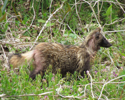 �Ă₹�̃^�k����