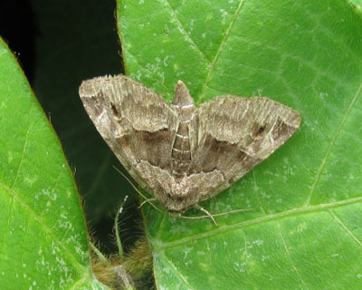 �n��������ׂ�C�͂��o�Ȃ�