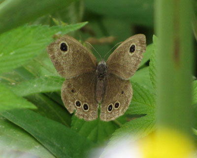 �\�������n��