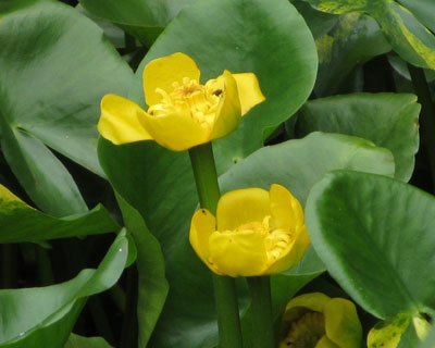 ����̉߂����R�E�z�l