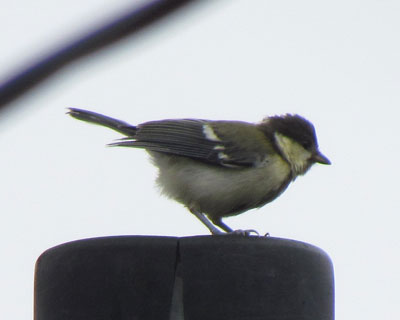 ���K�L��