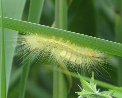 �X�Q�h�N�K����