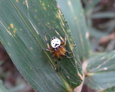 �r�W���I�j�O��