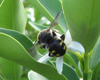 ���K�����킢���n�`