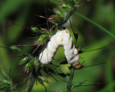 �����������ҁH