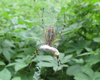 ���͂���������W�����E�O��