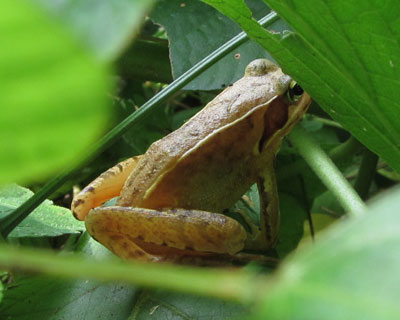 ����������������Ă���