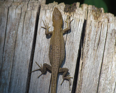 ���������H