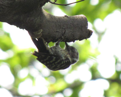 ���������R�Q��