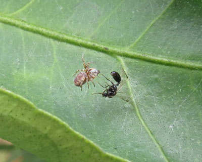 ���������킢