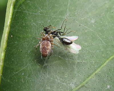 �N���͂R�������炢�H