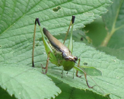 �T�T�L���ۂ�