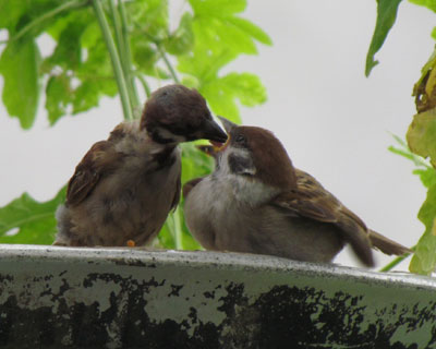 �X�����I��邯�ǁA����΂��Ă���