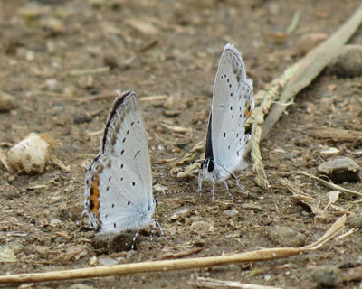 �b������