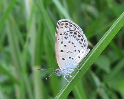 ���}�g�V�W�~