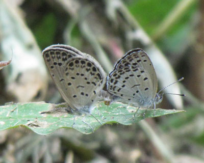 ����荞�ݒ�