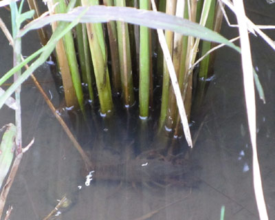 �ߊ��ƈ�Ăɒ���