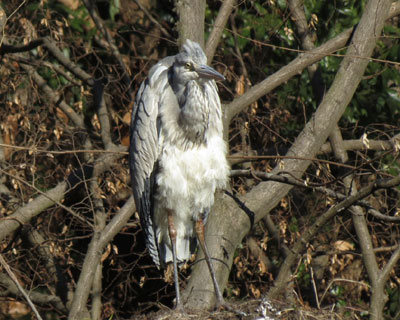 �����A�I�T�M