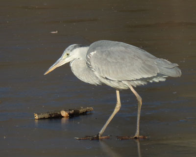 �X��A�I�T�M