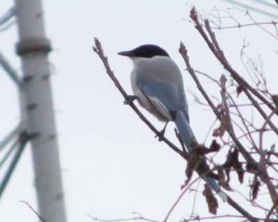 �߂����Ɏʐ^�͎B��Ȃ�