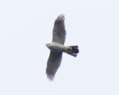 �I�I�^�J����ˁH