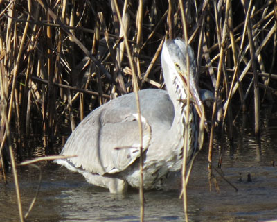 ���͂��߂܂���