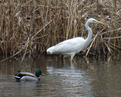 �}�K����������������������