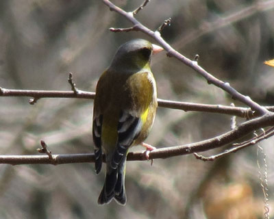 �炪�����J�����q��