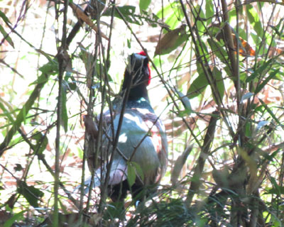 �����������L�W