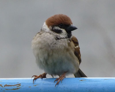 �ł����͂�͊O��