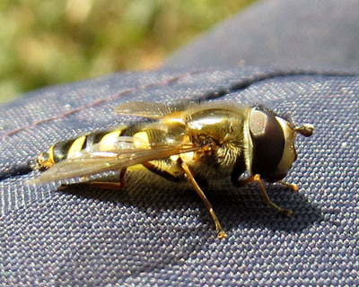 �A�u��x��