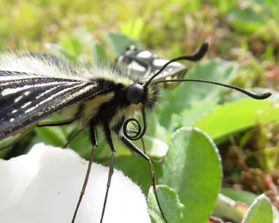 ��x���������ŐH��